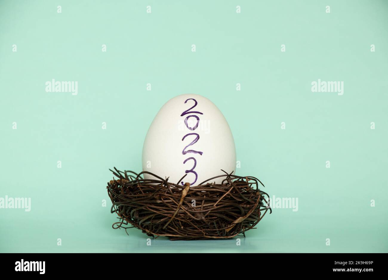 Chicken egg with text 2023 in a straw nest on a blue background, happy ...