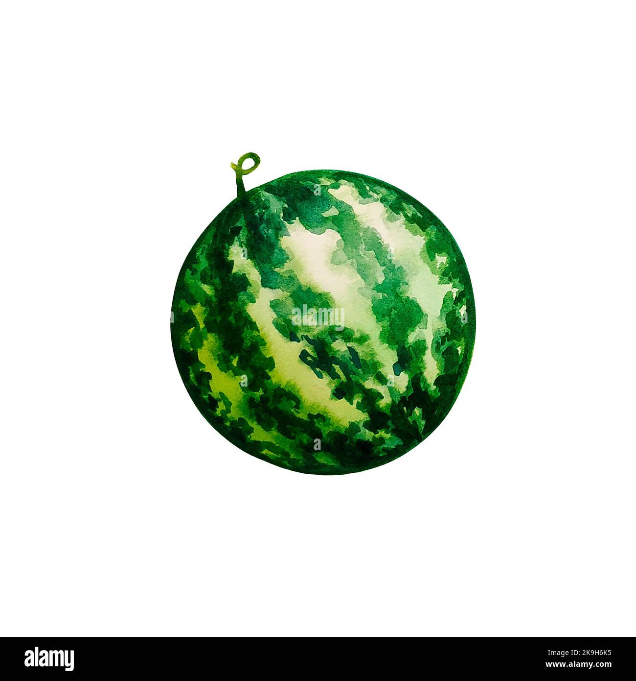 Whole watermelon. Watercolor illustration. Isolate. For design