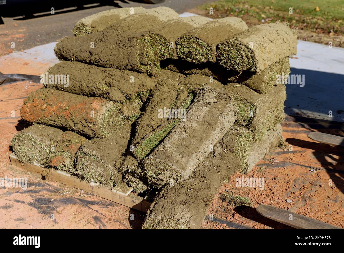 Green fresh sod grass in rolls for lawn and designer landscape a roll on pallets Stock Photo Alamy