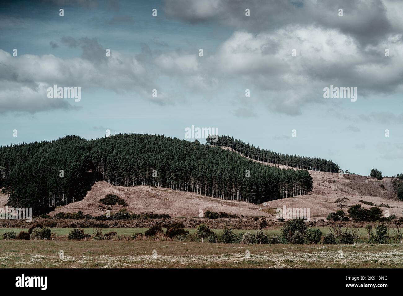 mountain and forest under a cloudy sky Stock Photo - Alamy