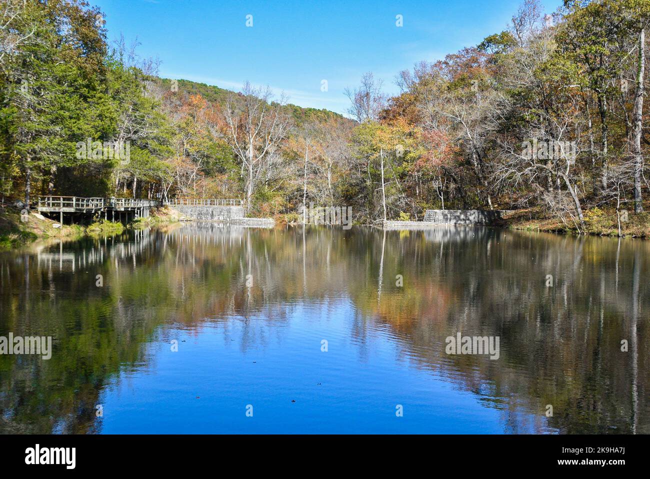 Trees reflecting lake day hi-res stock photography and images - Alamy