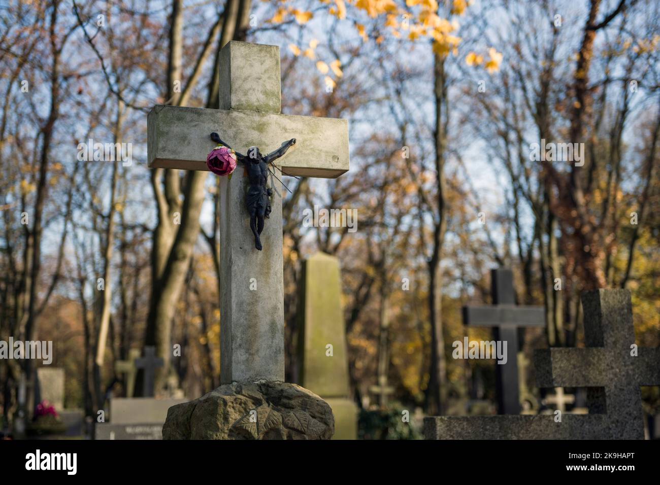 a-crucifix-with-a-rose-seen-among-the-graves-at-the-historic-powazki