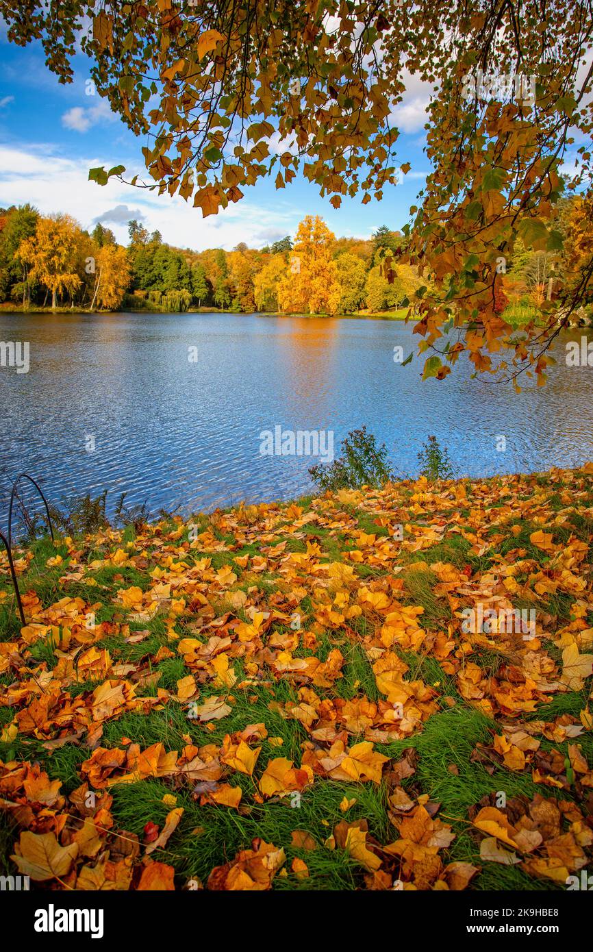 The lake at Stourhead in full autumn colours of yellow, gold, orange and red at Stourton, Wiltshire, UK on 28 October 2022 Stock Photo