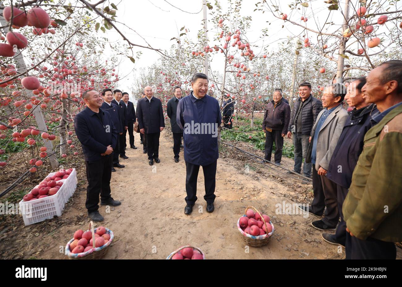 Yan'an, China's Shaanxi Province. 26th Oct, 2022. Chinese President Xi Jinping, also general secretary of the Communist Party of China Central Committee and chairman of the Central Military Commission, chats with local villagers in an orchard in Nangou Village of Yan'an, northwest China's Shaanxi Province, Oct. 26, 2022. Xi made an inspection trip to the city of Yan'an in northwest China's Shaanxi Province and the city of Anyang in central China's Henan Province, from Wednesday to Friday. Credit: Ju Peng/Xinhua/Alamy Live News Stock Photo