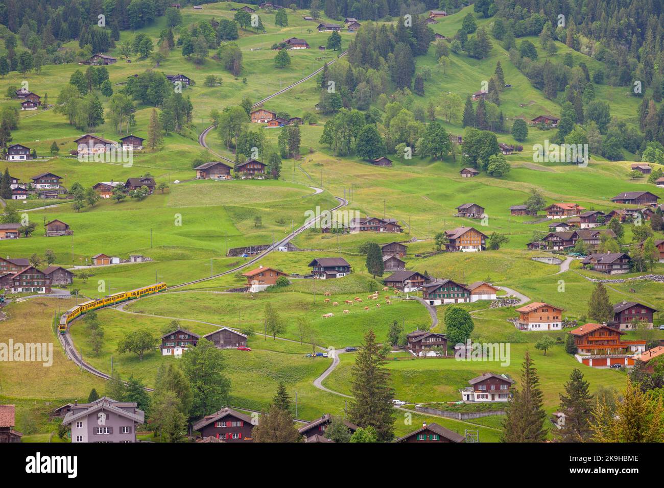 Train coming down to Grindelwald, swiss chalets landscape, Switzerland