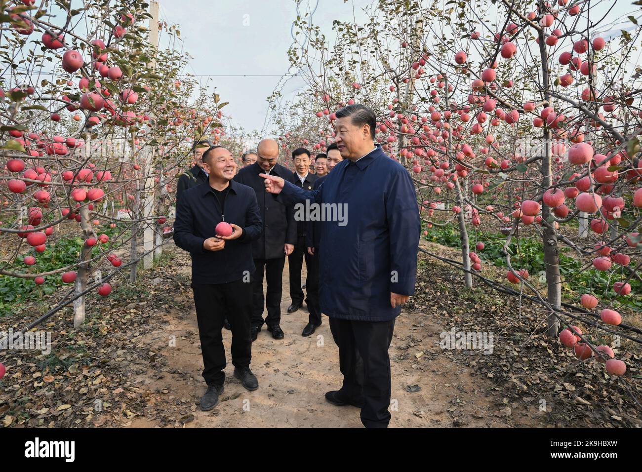 Yan'an, China's Shaanxi Province. 26th Oct, 2022. Chinese President Xi Jinping, also general secretary of the Communist Party of China Central Committee and chairman of the Central Military Commission, chats with local villagers in an orchard in Nangou Village of Yan'an, northwest China's Shaanxi Province, Oct. 26, 2022. Xi made an inspection trip to the city of Yan'an in northwest China's Shaanxi Province and the city of Anyang in central China's Henan Province, from Wednesday to Friday. Credit: Yan Yan/Xinhua/Alamy Live News Stock Photo