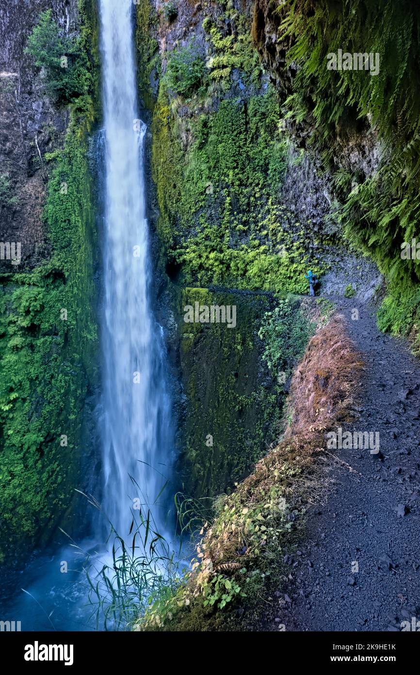 Approaching spectacular Tunnel Falls, Pacific Crest Trail, Oregon, USA