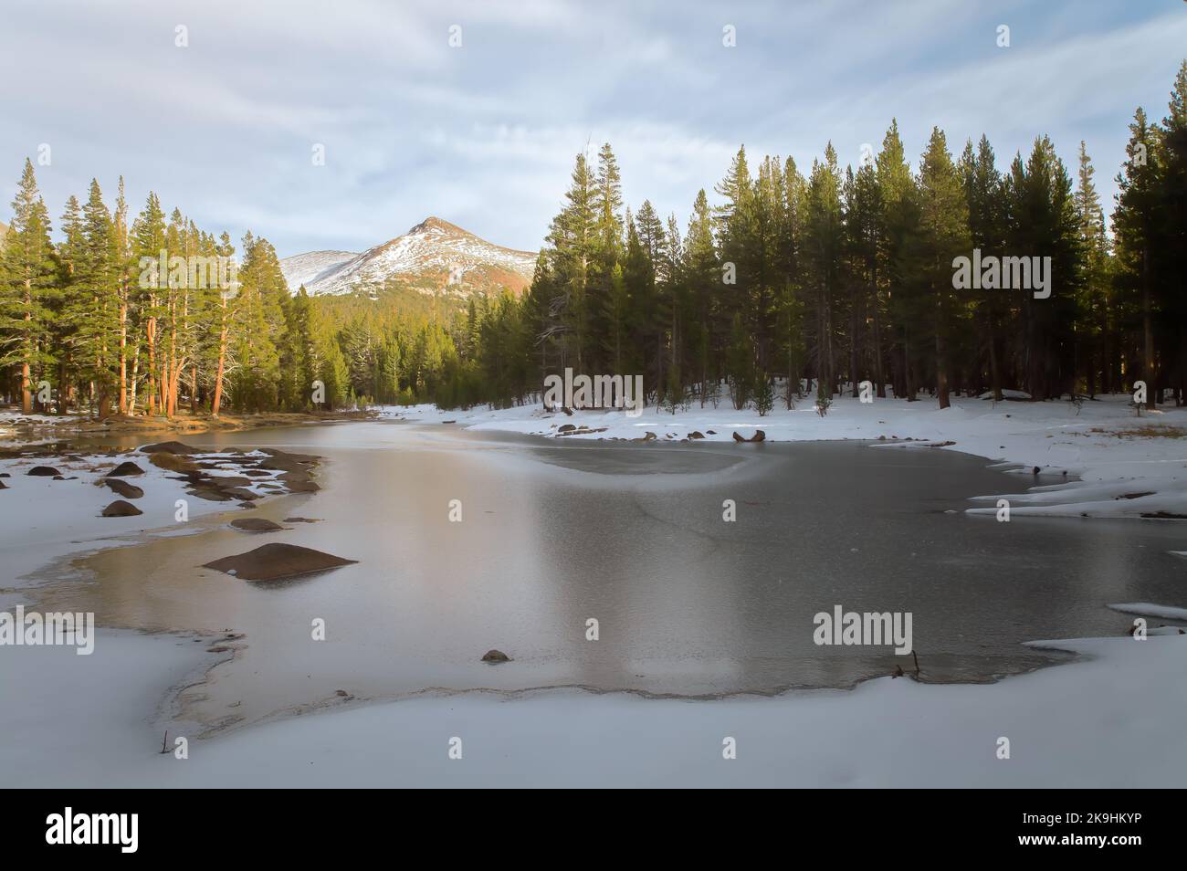 Frozen lake and the ponderosa pine forest in Yosemite National Park, California, in early winter. Stock Photo