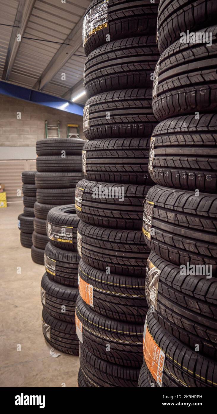 Professional mechanics where automotive mechanics engineers