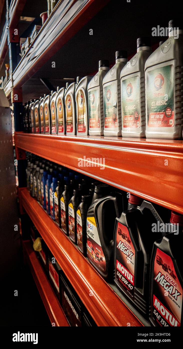 Professional mechanics where automotive mechanics engineers