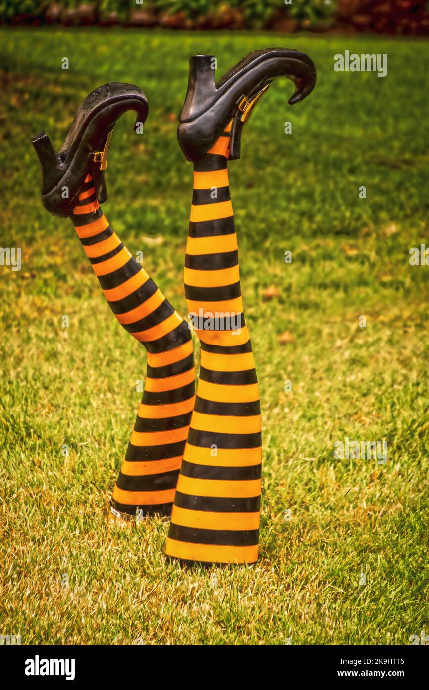 Yellow Witch Tights Yellow Witch Tights