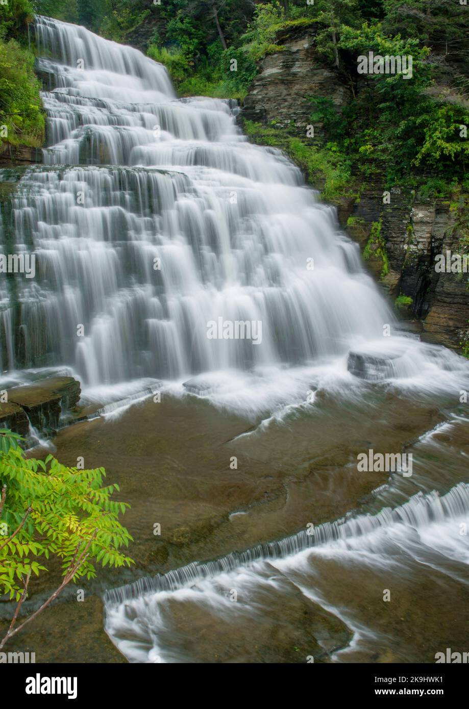 Hector Falls on Hector Creek falls right next to Highway 414 in