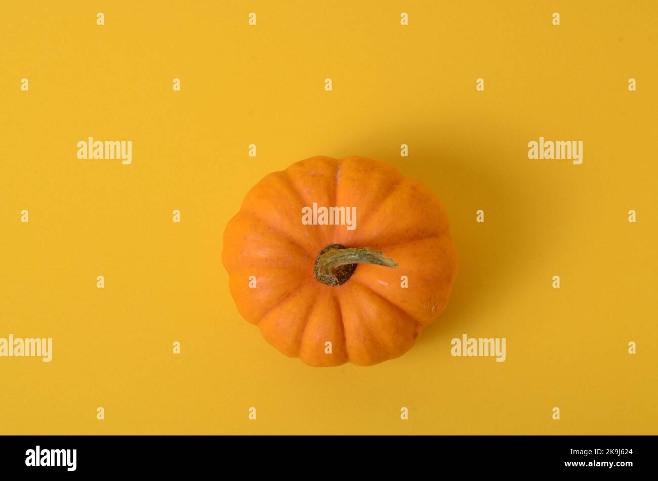 Top view of fresh whole orange pumpkin with copy space on yellow ...