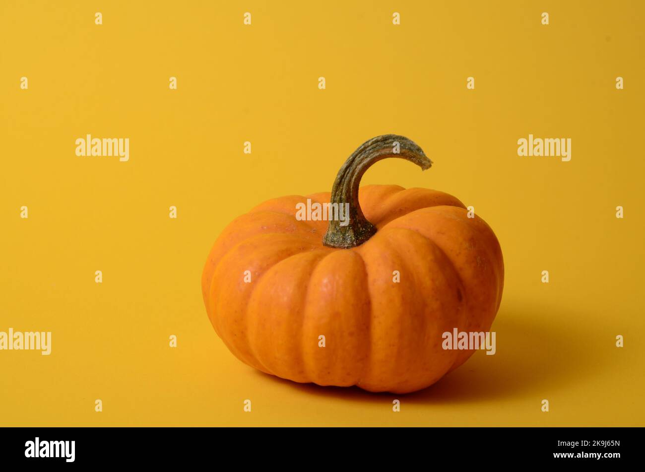 Fresh whole orange pumpkin with copy space on yellow background with ...