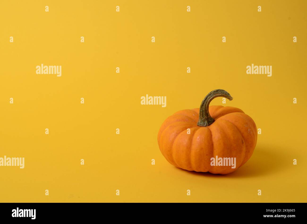 Fresh whole orange pumpkin with copy space on yellow background with ...