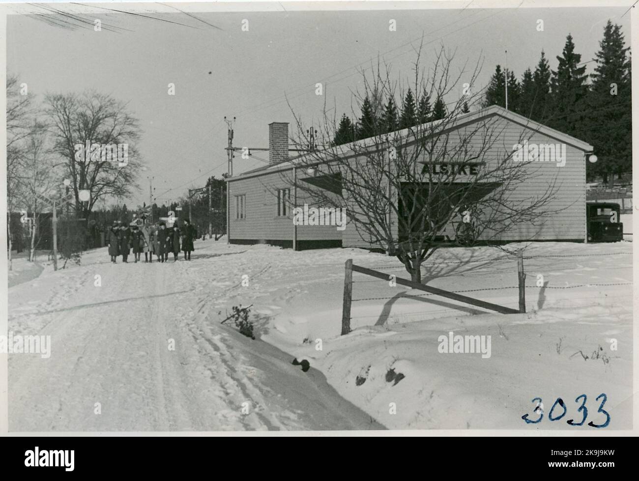 Alsike hi-res stock photography and images - Alamy