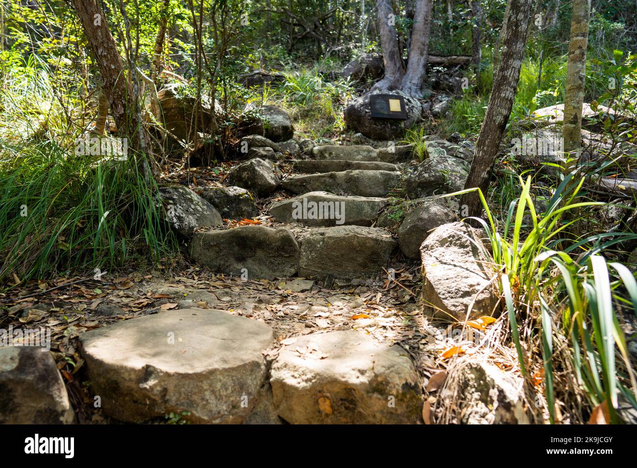 hiking in queensland australia in summer Stock Photo - Alamy