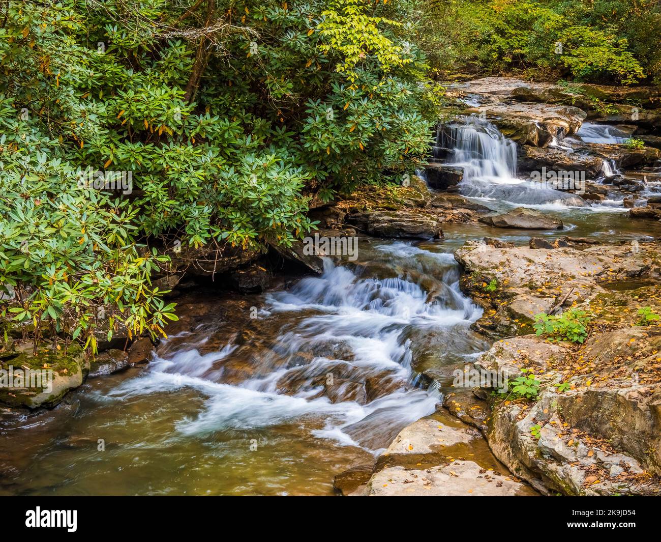 Small stream and waterfalls in the New River Gorge National Park and Preserve in West Virginia USA Stock Photo