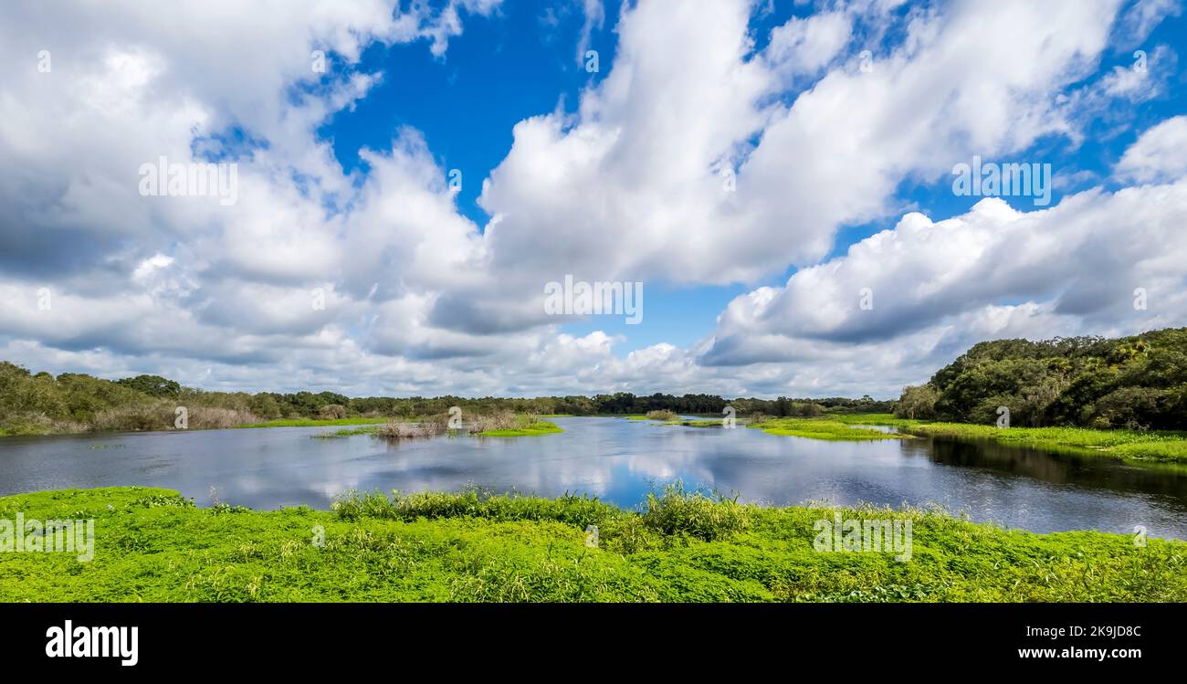 Blue sky with white clouds over Myakka River State Park in Sarasota Florida USA Stock Photo