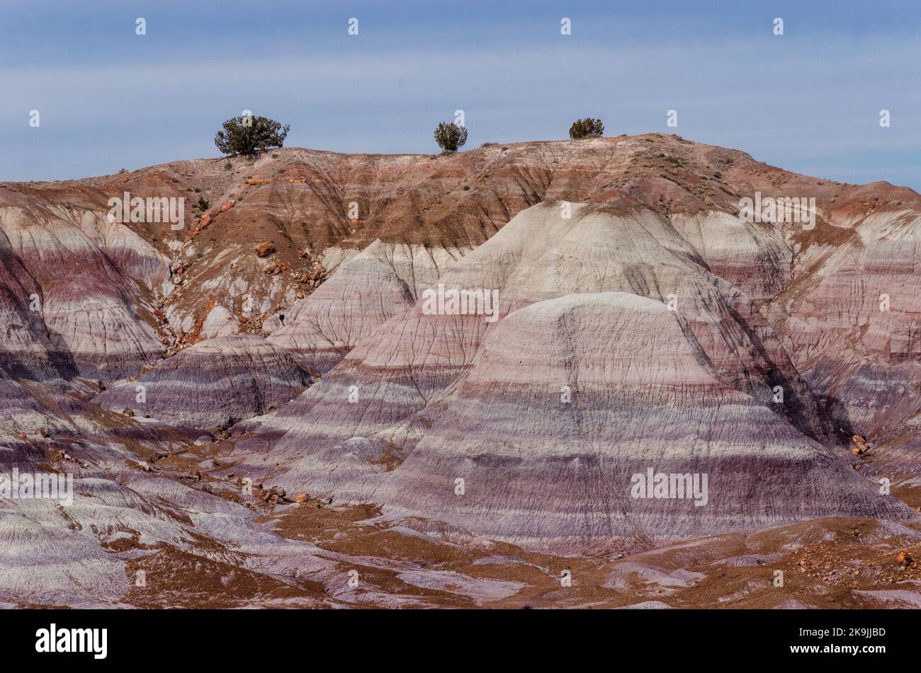 Painted Desert National Park badlands from Main Park Road Stock Photo