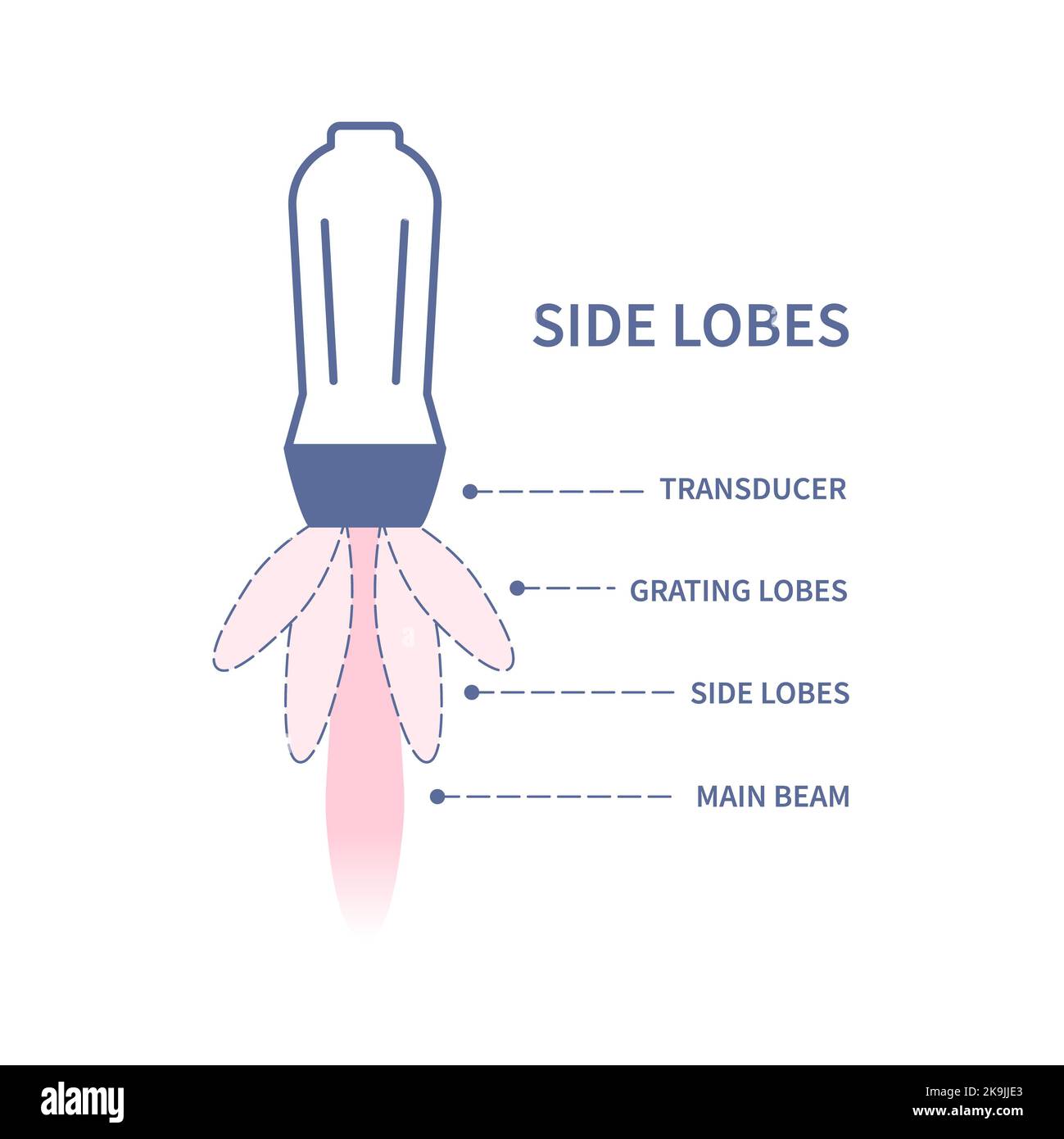 Side lobes in ultrasound, illustration Stock Photo