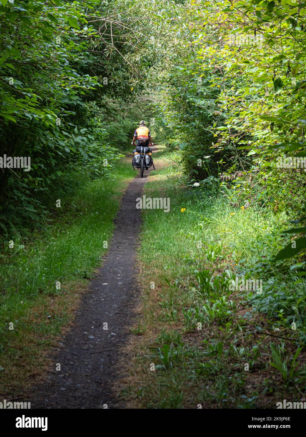 WA22627-00...WASHINGTON - Riding on one of two unpaved sections of the Olympic Discovery Trail. Stock Photo
