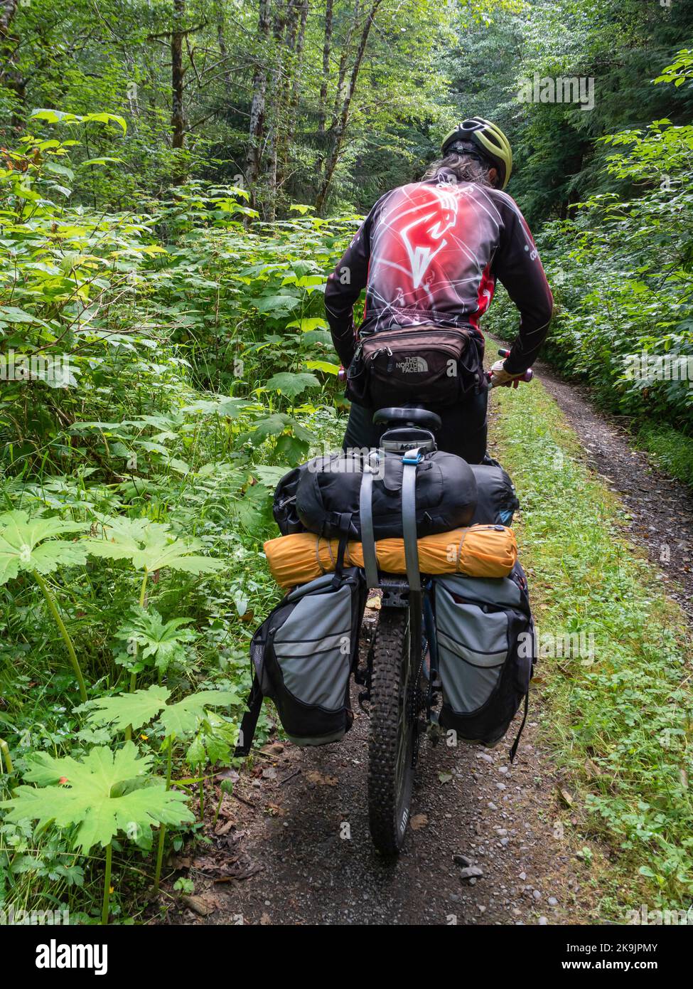WA22653-00...WASHINGTON - Tom Kirkendall riding cross-Washington gravel race route following an overgrown forest road in Olympic National Forest. Stock Photo
