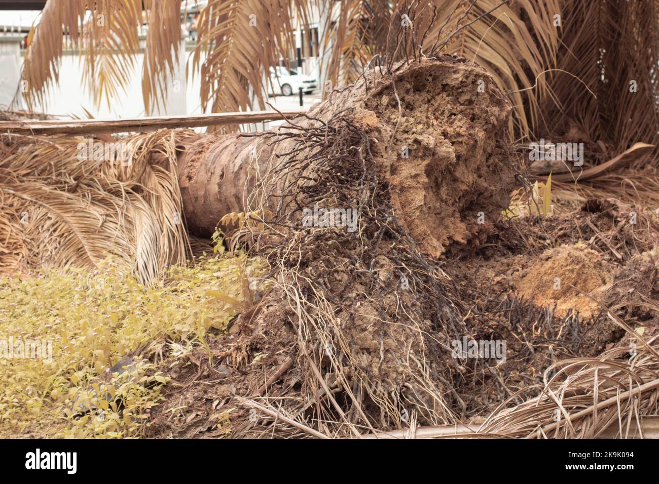 Moundhill hi-res stock photography and images - Alamy