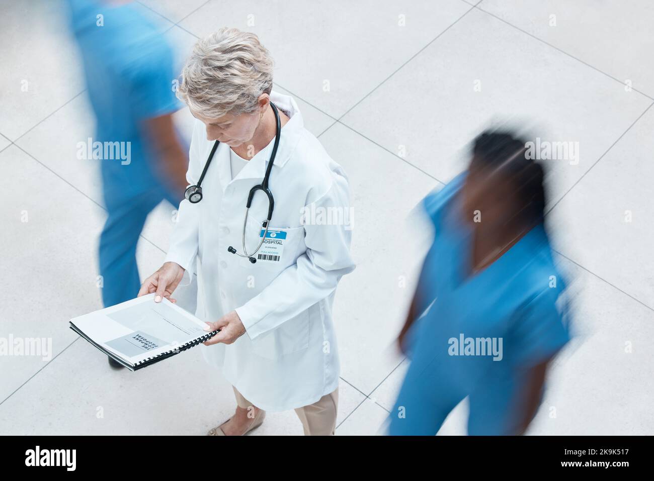 Woman, doctor and hospital data with a nursing team in a busy wellness and health clinic. Medical, healthcare and nurse worker with insurance, help Stock Photo