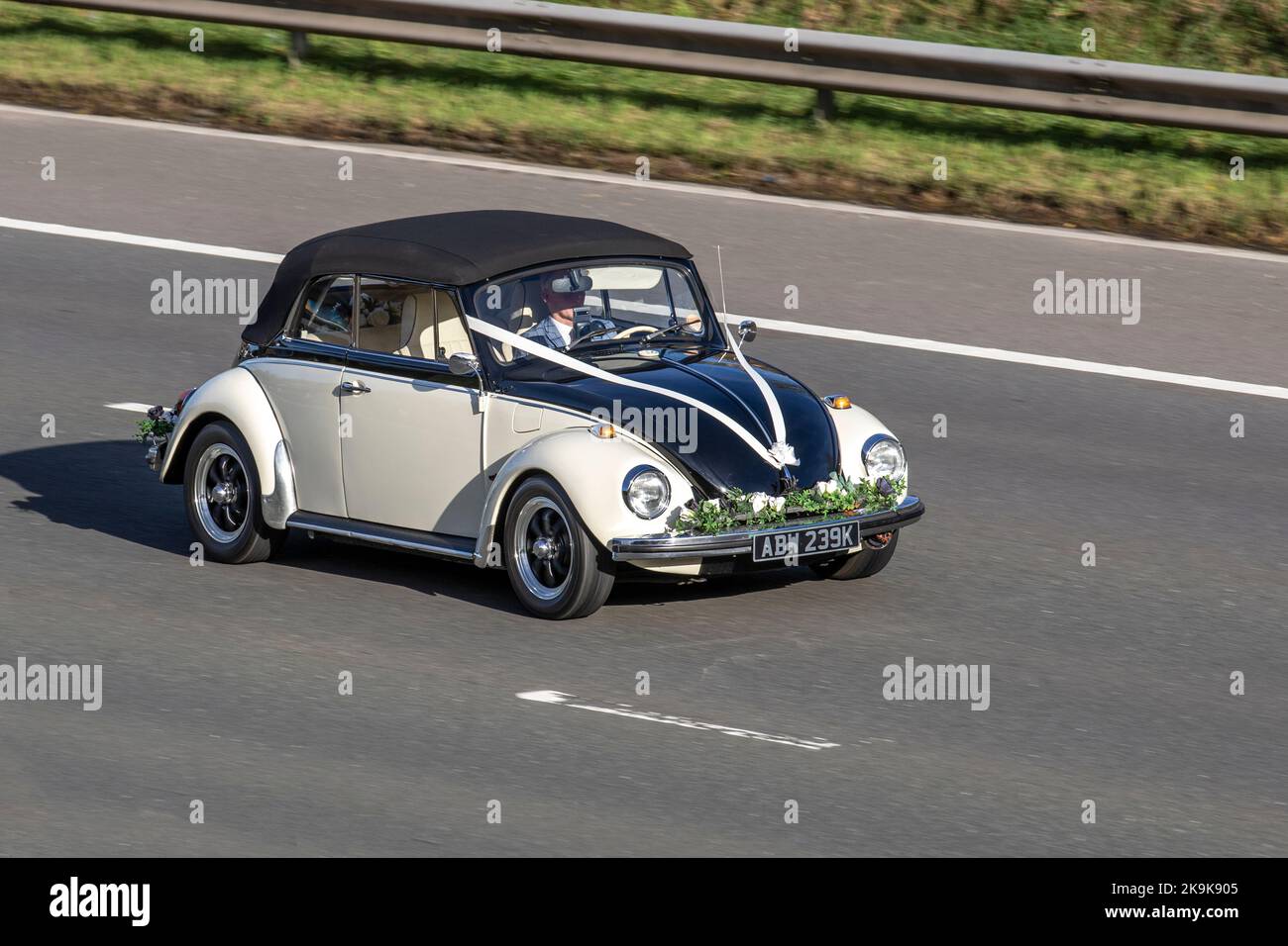 1972 70s seventies black & white Old Type VW Volkswagen Beetle, left-hand drive convertible wedding car with ribbons. Otherwise known as Type 1, two-door, rear-engine subcompact economy car, Käfer, Vocho, Fusca, Cocinelle, Maggiolino, Punch Buggy, German People’s Car, an air-cooled, rear-engined, rear-wheel-drive compact car  travelling on the M6 motorway, UK Stock Photo