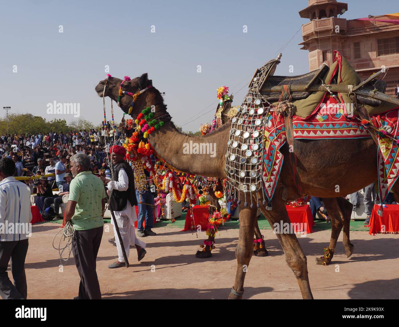 Bikaner Rajasthan, India : January 14, 2018 – Decorated Camel at Top India’s Camel Festival “Bikaner Camel Festival”. Stock Photo