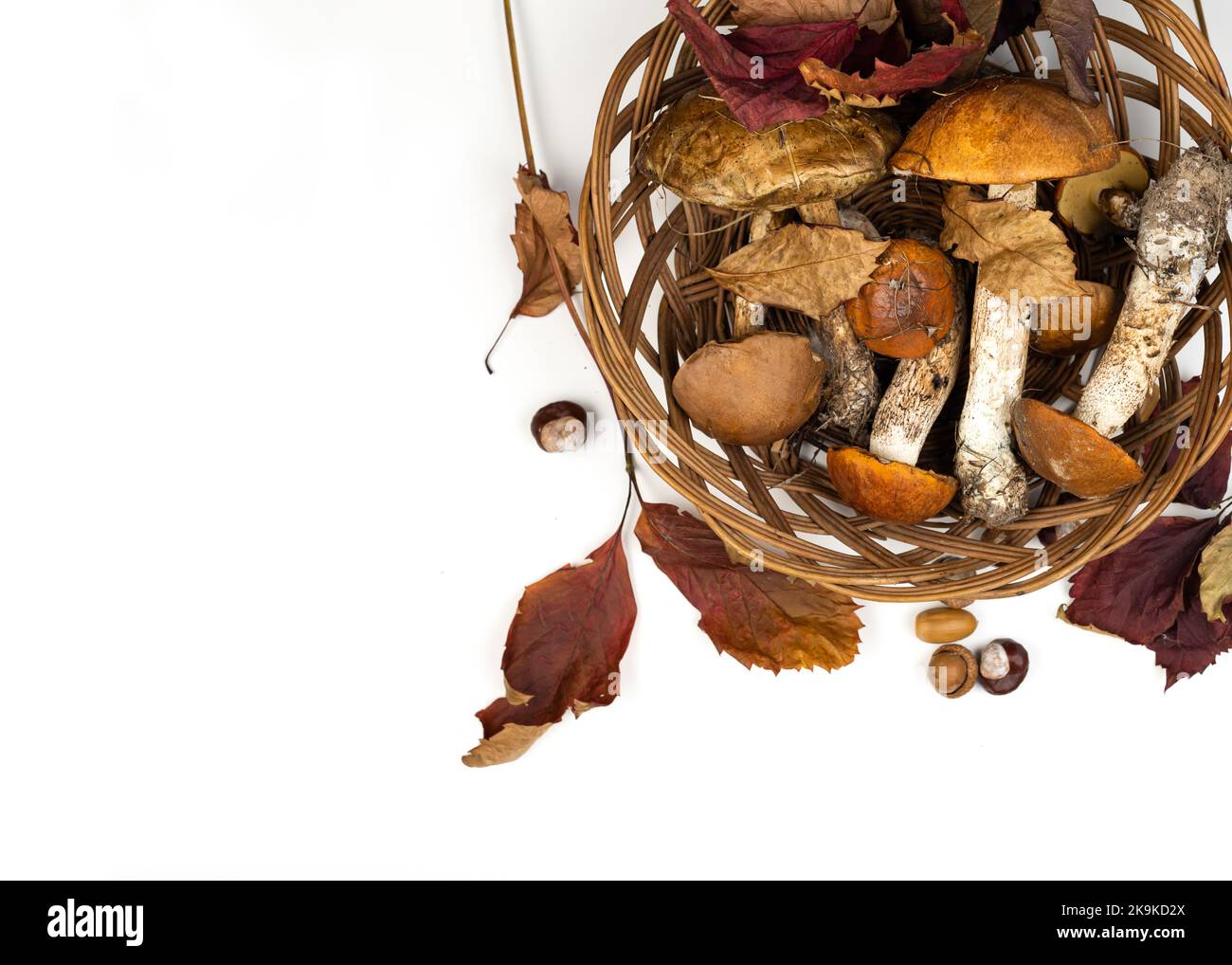 Still life with forest mushrooms and fallen leaves. Porcini mushrooms and boletus mushrooms in a wicker basket. Autumn minimalist composition. Copy sp Stock Photo