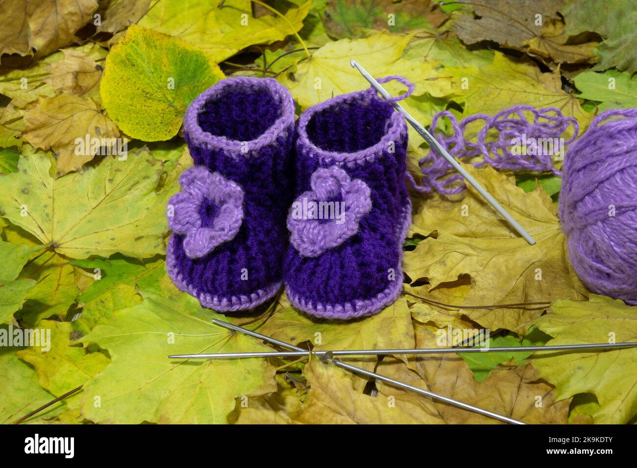 A pair of knitted children's shoes in blue and lilac on yellow autumn leaves. Close-up Stock Photo