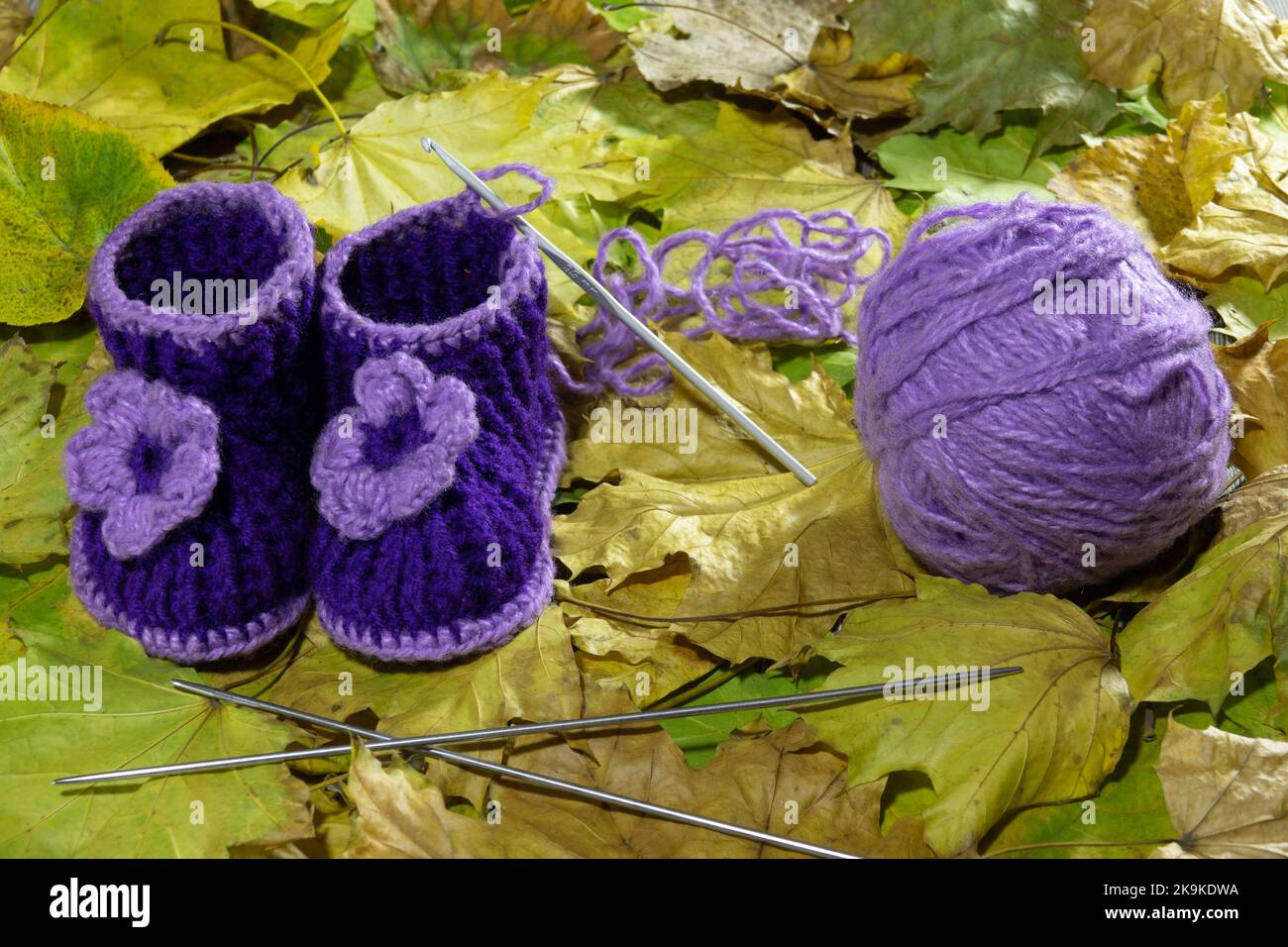A pair of knitted children's shoes in blue and lilac on yellow autumn leaves. Close-up Stock Photo