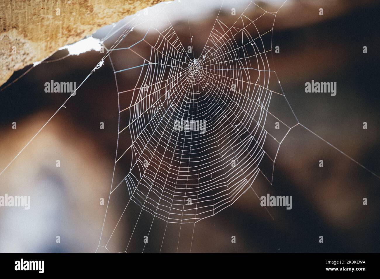 Close up of a spider web in the medieval cloister of Saint Lizier, in France (Ariege) Stock Photo