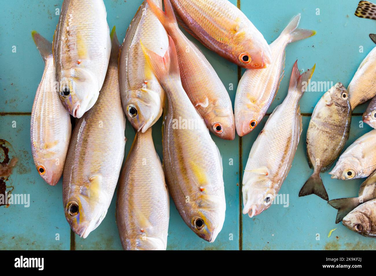 Fresh fish sold at a market in Tawitawi, Philippines Stock Photo Alamy