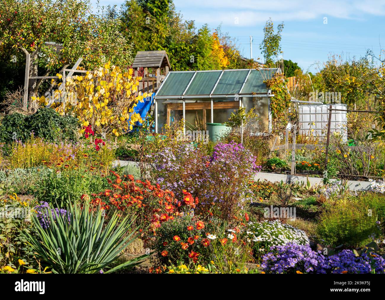 Summer garden colorful flowers hi-res stock photography and images - Alamy