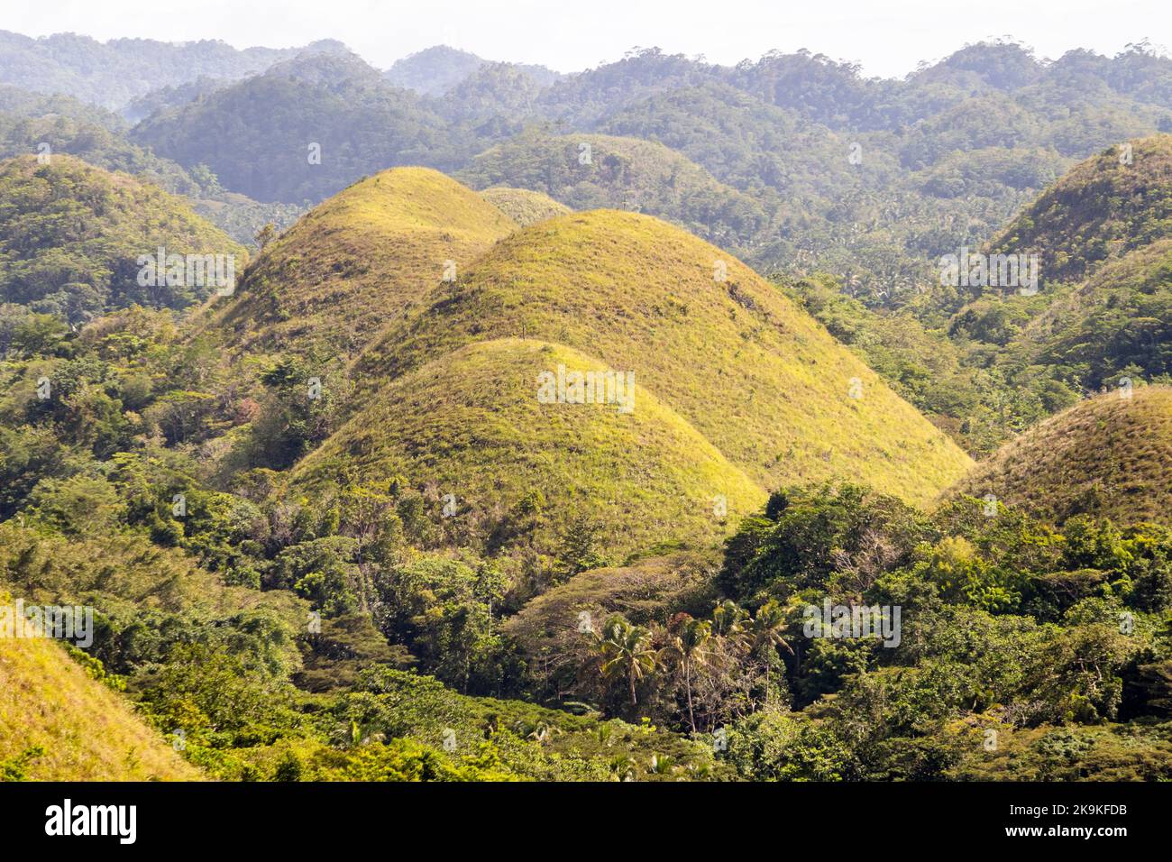 The famous Chocolate Hills of Bohol, Philippines listed as a UNESCO