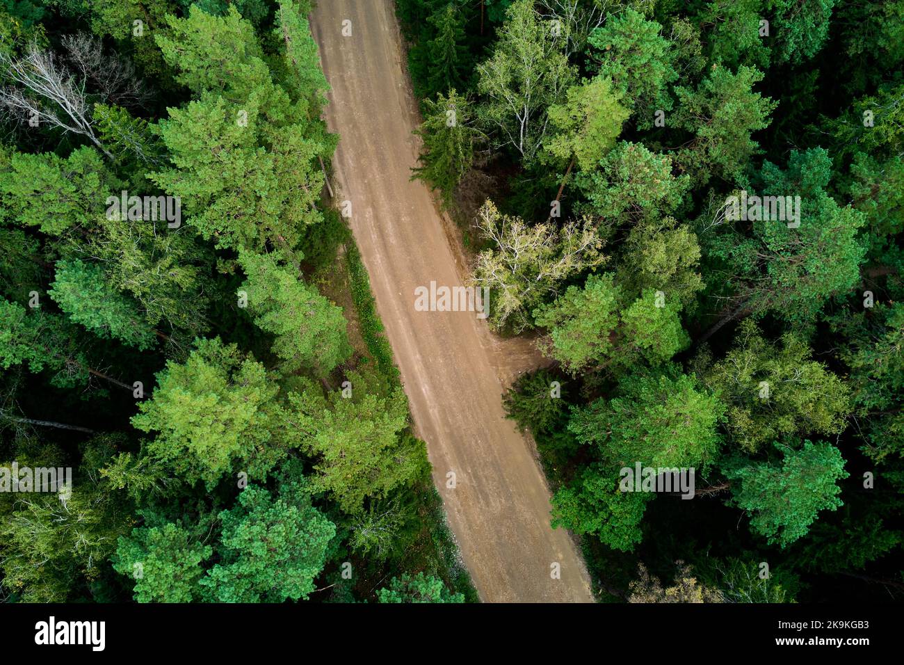Road for timber trucks going through the forest, aerial view Stock ...