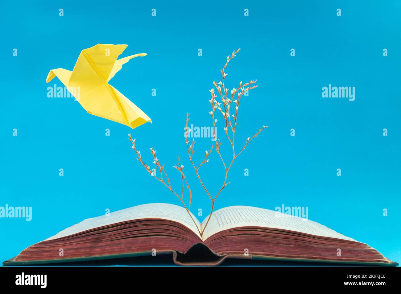 Yellow origami dove flying from an old book on blue background. Soft focus close up of a dry tree growing from a book Stock Photo