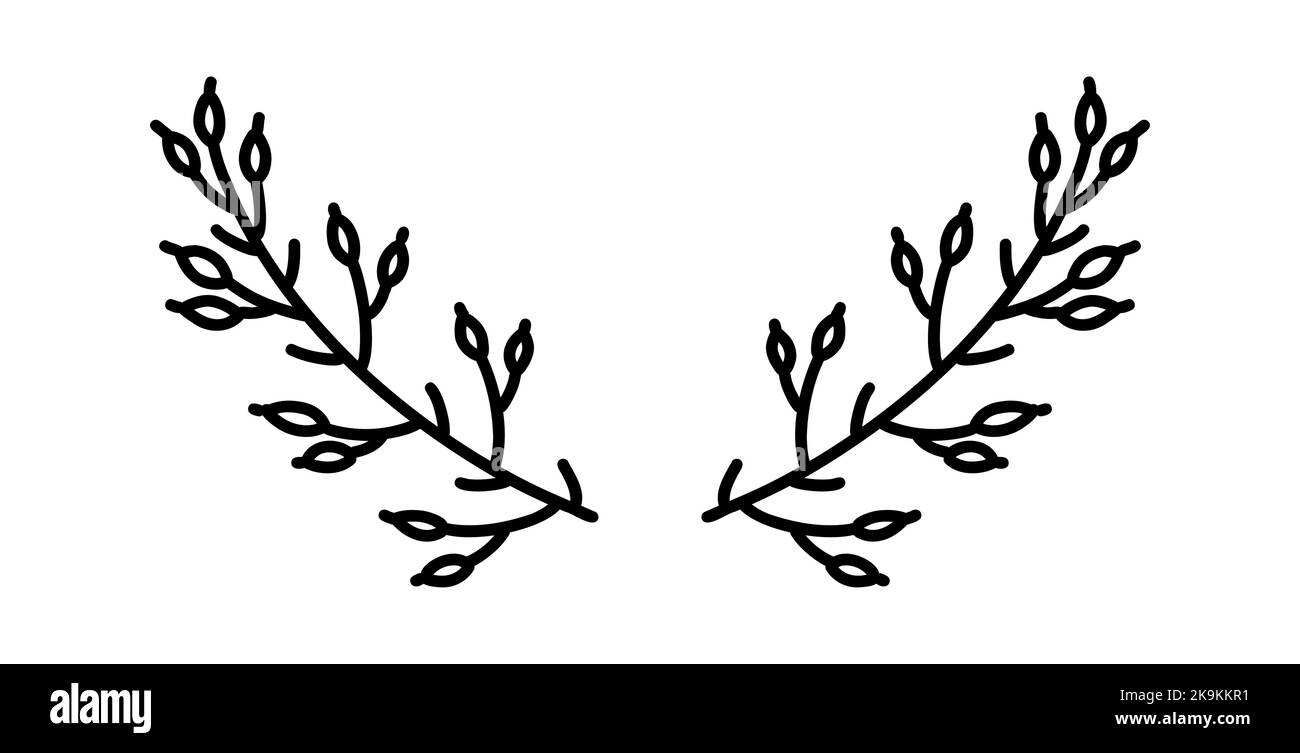 Doodle floral laurel. Hand drawn tree branches with leaves and flowers ...