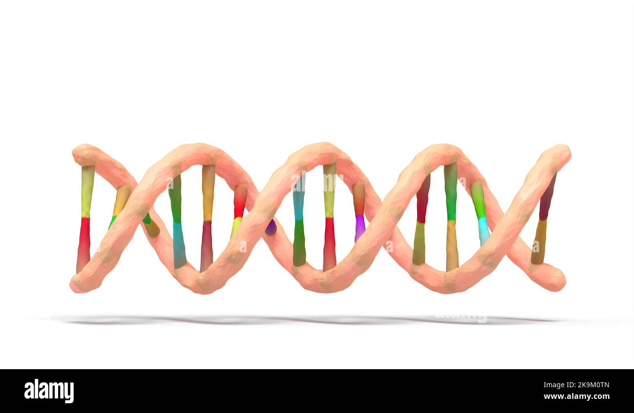 dna double helix on white background - 3d rendering Stock Photo