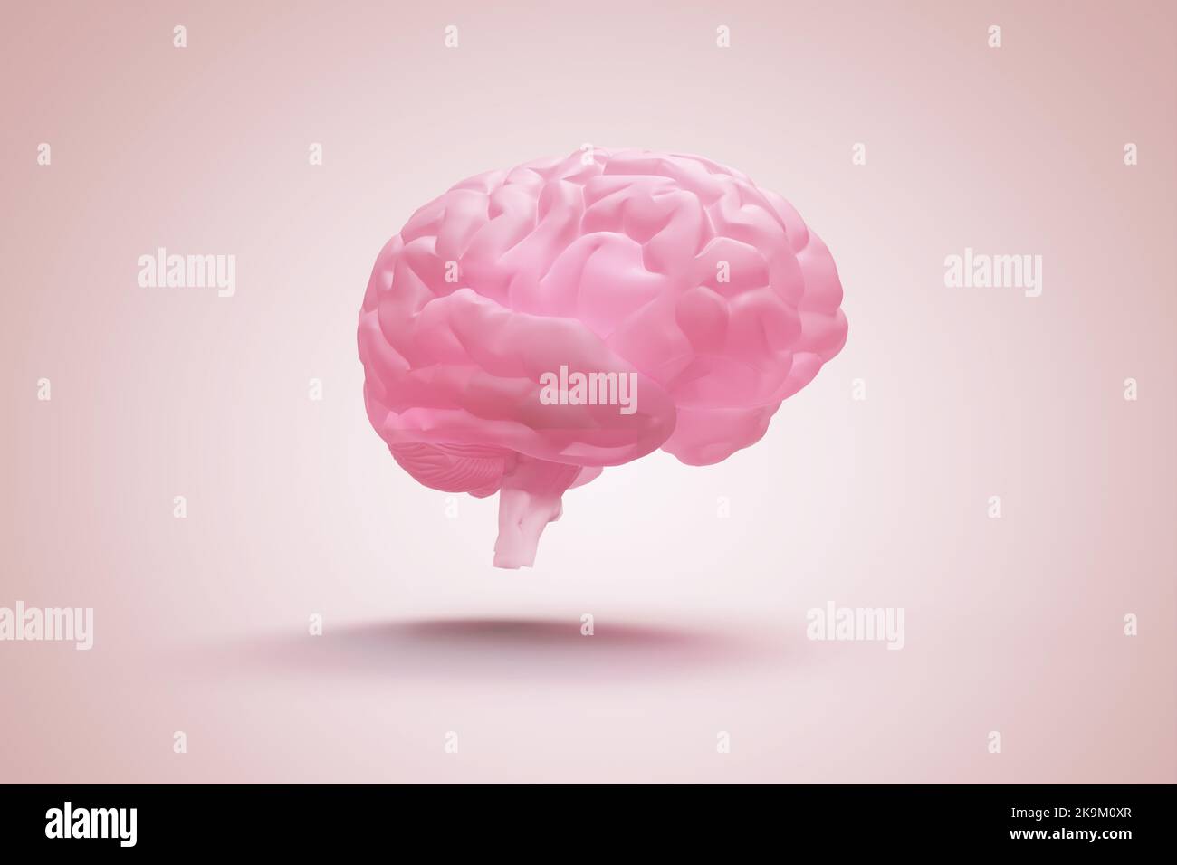Human brain on pink background - 3D rendering Stock Photo - Alamy