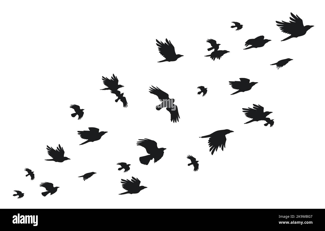 Flock of crows. Flying black birds in sky monochrome flutter raven silhouette, migrating flight group of wild rooks ornithology concept. Vector Stock Vector