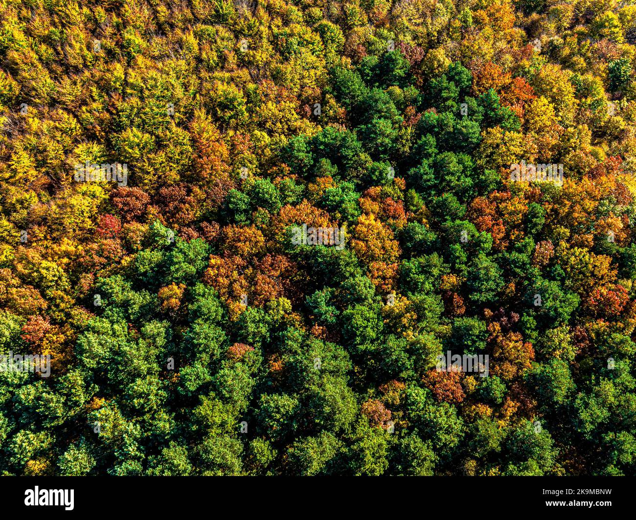 Rural japan top down aerial hi-res stock photography and images - Alamy