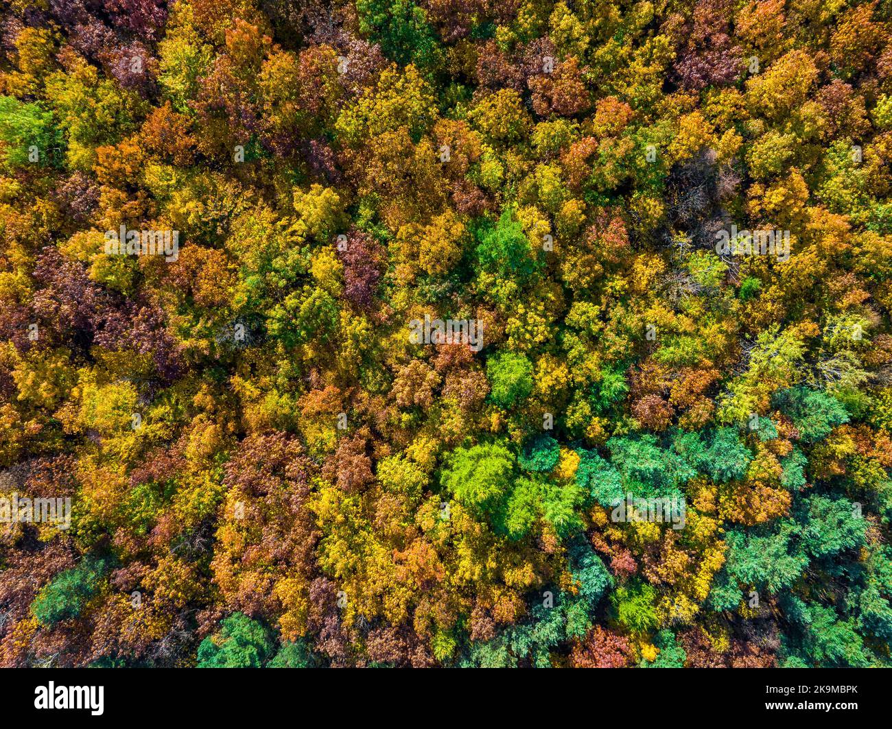 Rural japan top down aerial hi-res stock photography and images - Alamy