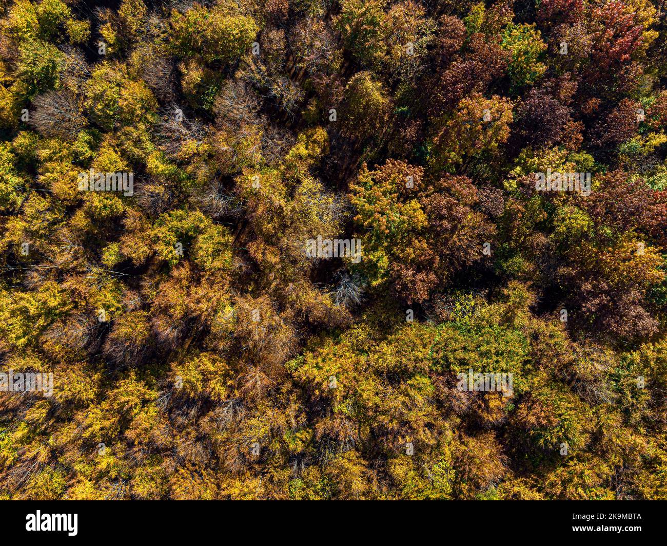Rural japan top down aerial hi-res stock photography and images - Alamy