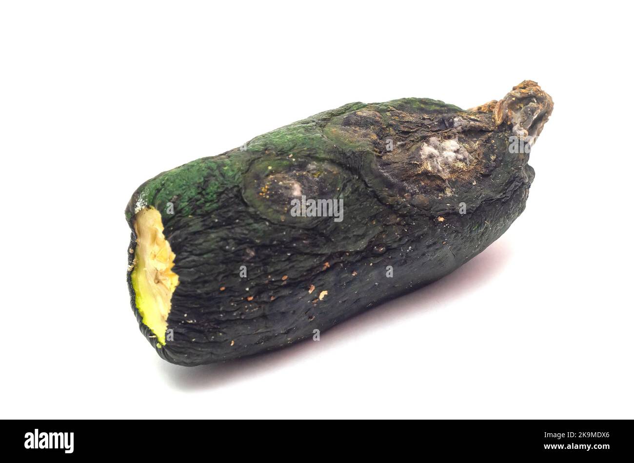 the half of moldy zucchini isolated on white background. Stock Photo