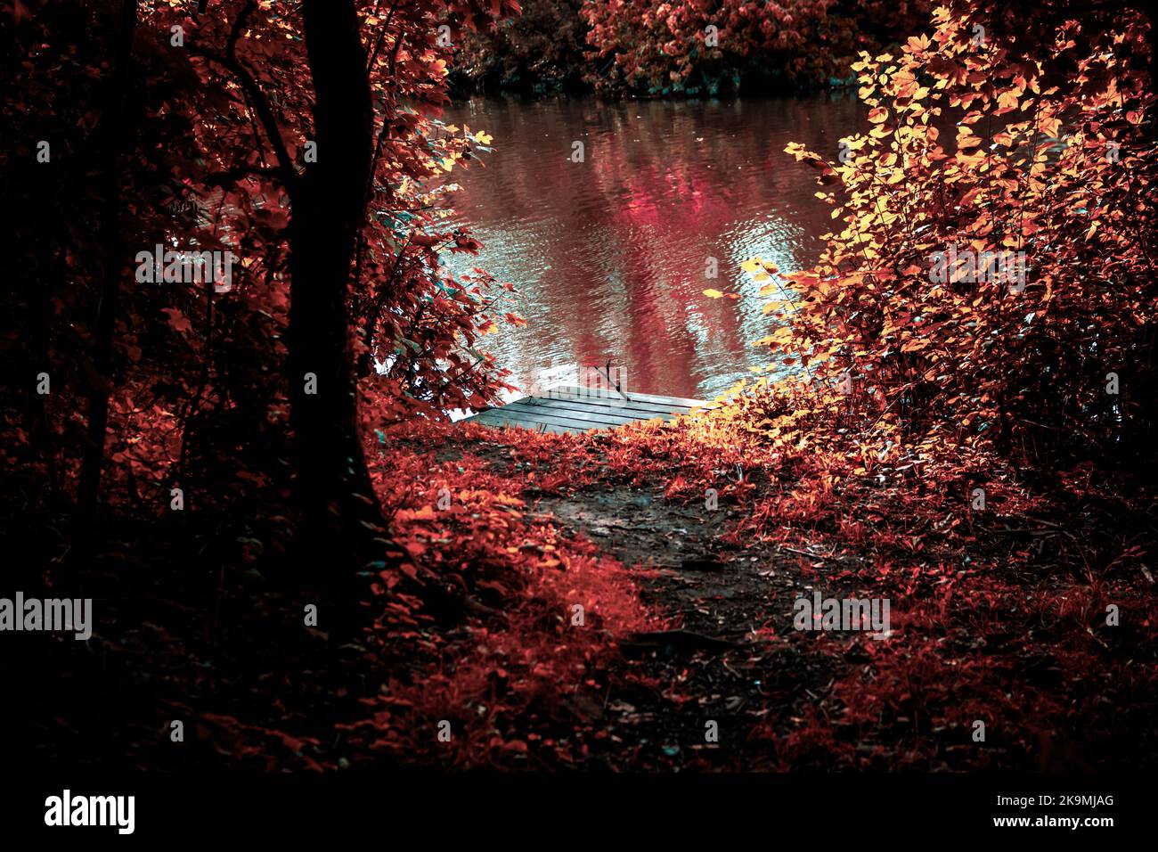 Autumn leaves framing hi-res stock photography and images - Alamy
