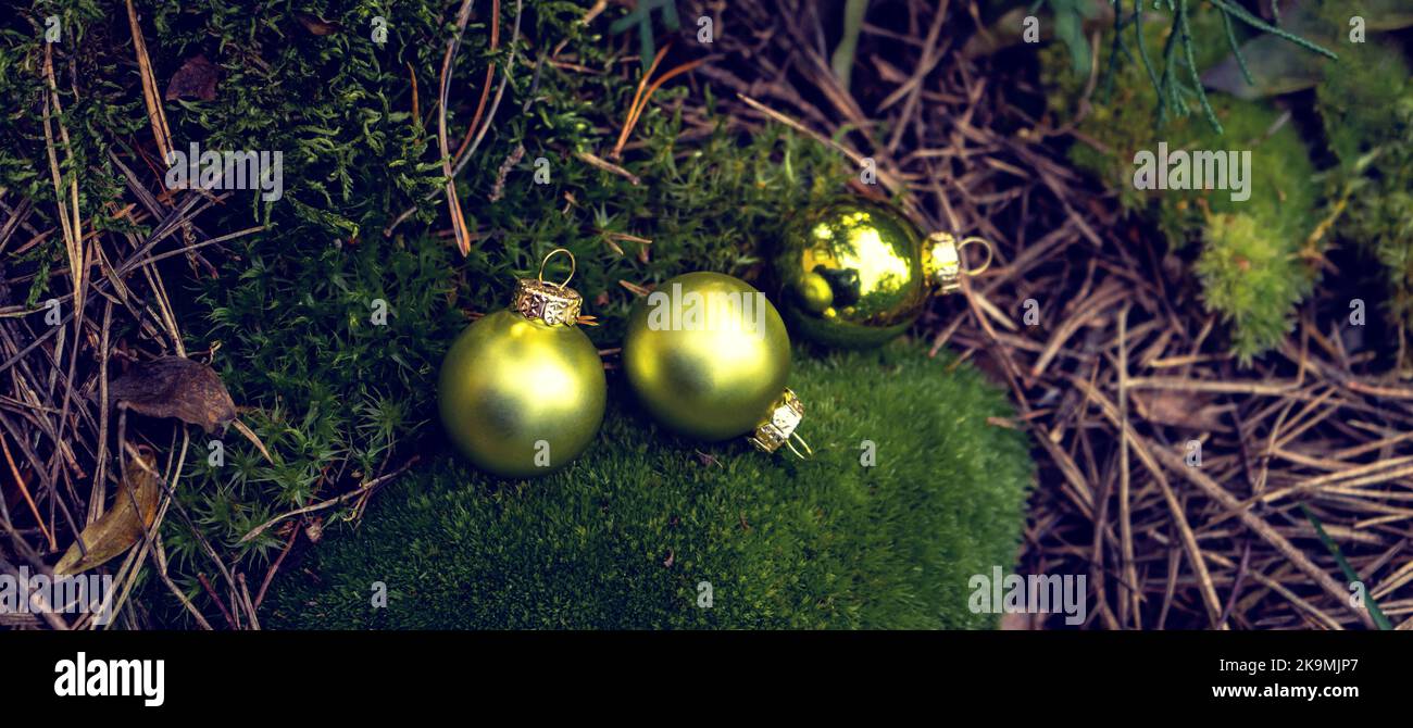 Green moss background with shiny green balls Stock Photo Alamy